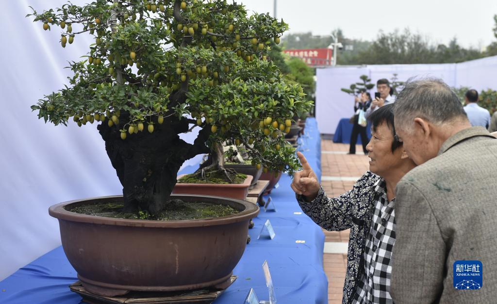 玖信娱乐